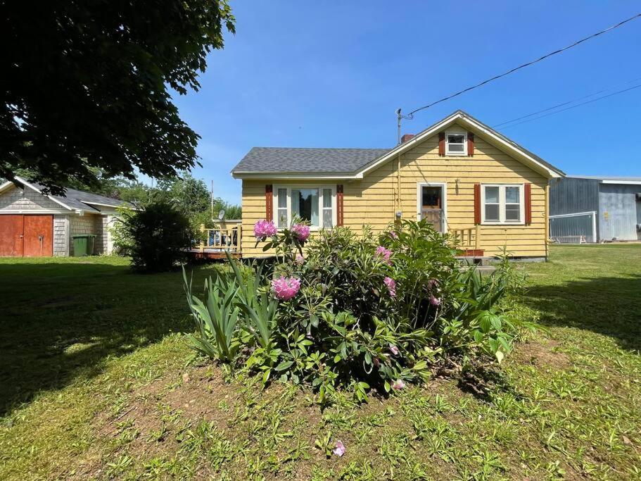 Little Yellow House In The Heart Of The Valley Holiday home Port Williams